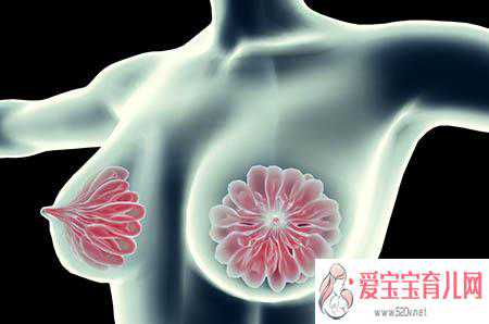一般香港验血邮寄多少天的结果,女性经期乳房胀痛  小心是不孕的先兆
