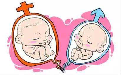 香港验血7周时间是怎么算的,试管婴儿能决定生男女吗？通过试管能要双胞胎或